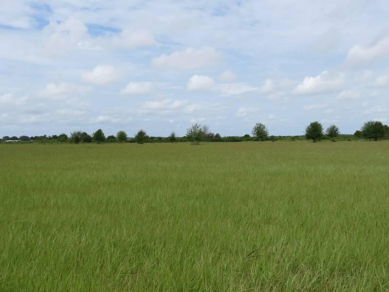 Colding Loop 5.3 Acres