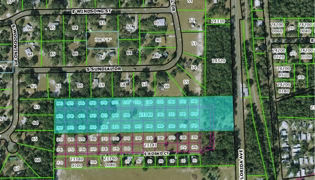 19.6+- acres in Floral City