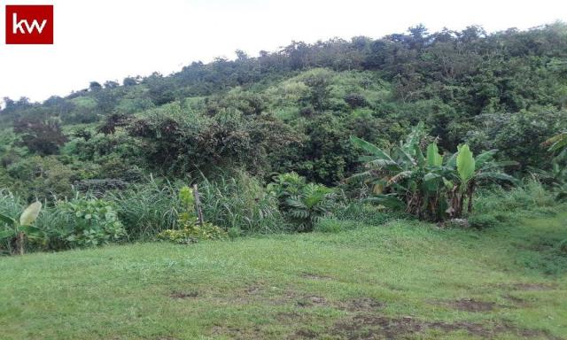Bo. Palos Blancos, Finca en Corozal