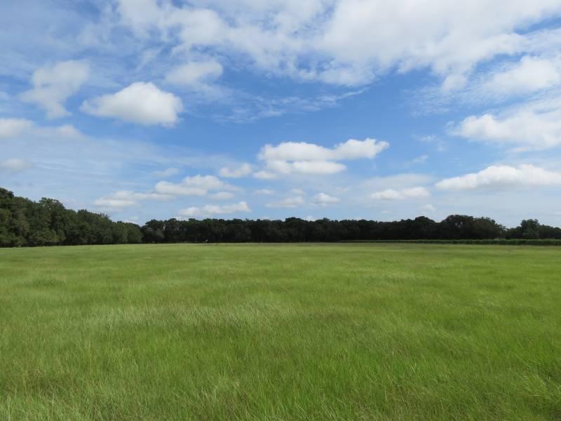 Swilley Road 15 Acres