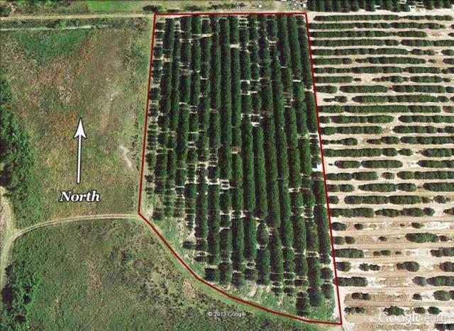 High Income Producing Hamlin Grove