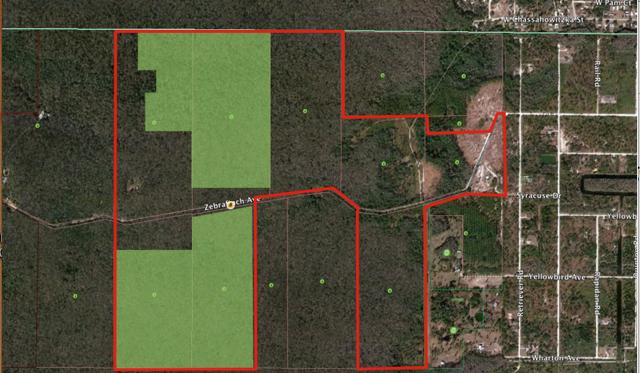 551.439+- Acre Tree Farm