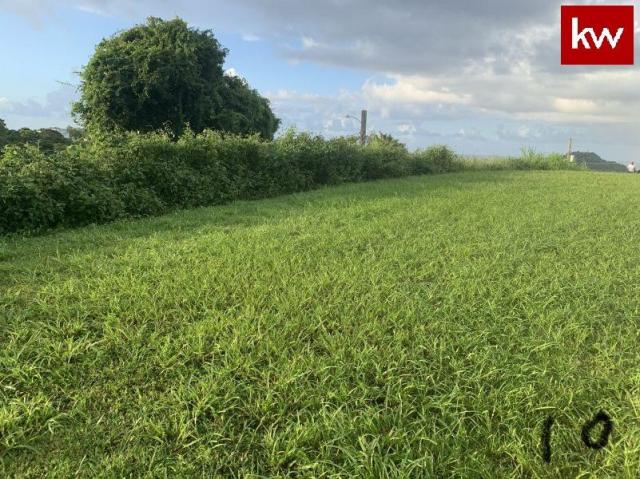 Terreno en Urb. Mansiones de Terra Linda
