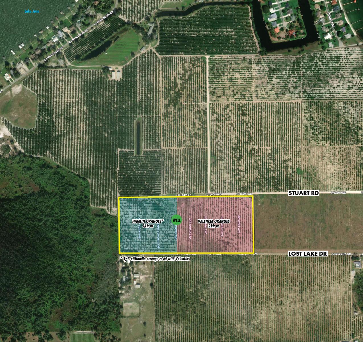 Lake Placid Producing Orange Grove 36 acres