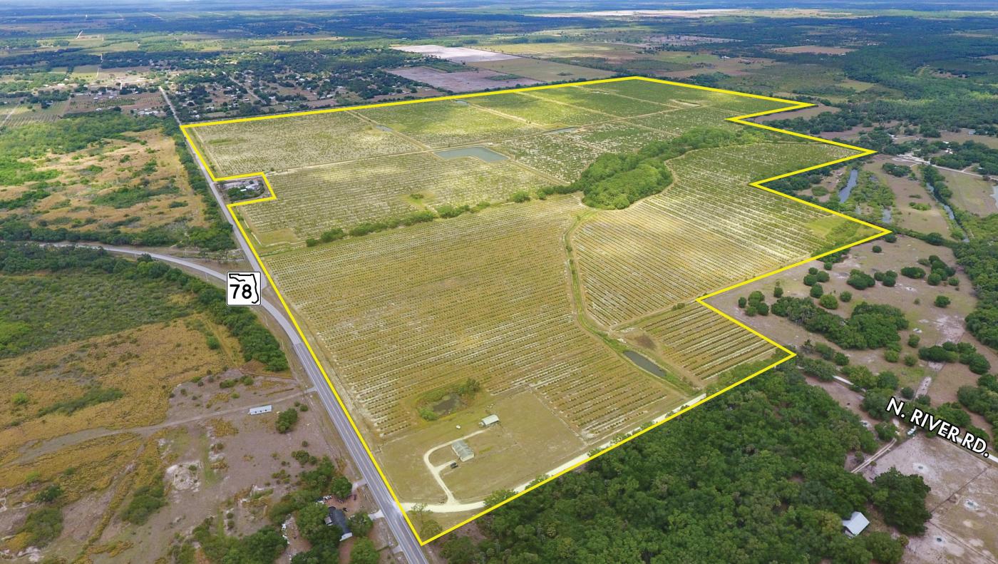 Caloosa Groves