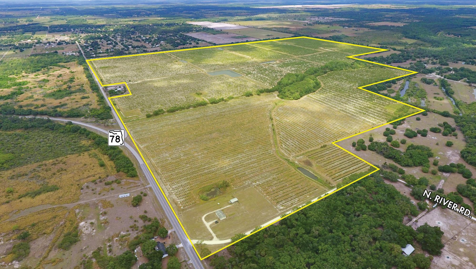 Caloosa Groves