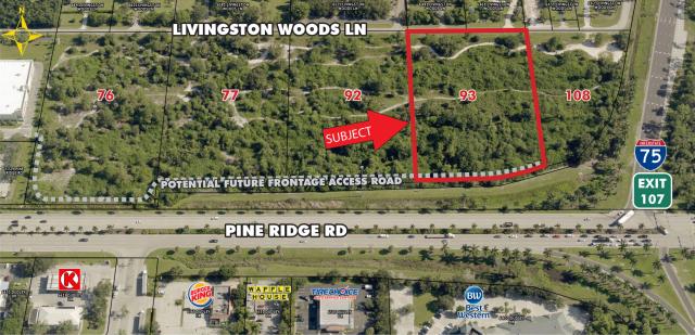 4.03 Acres at Pine Ridge Rd & I-75