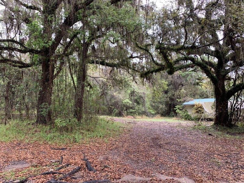 20 acres Hernando County, FL