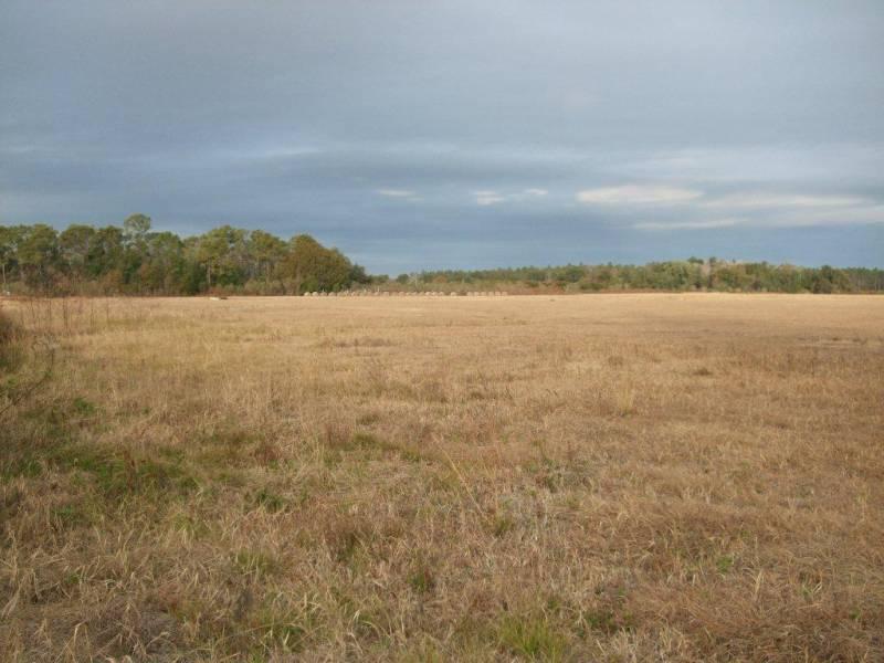 Vacant Land