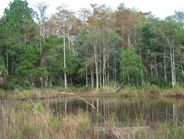 FIVE ACRES FOR PRIVATE GETAWAY