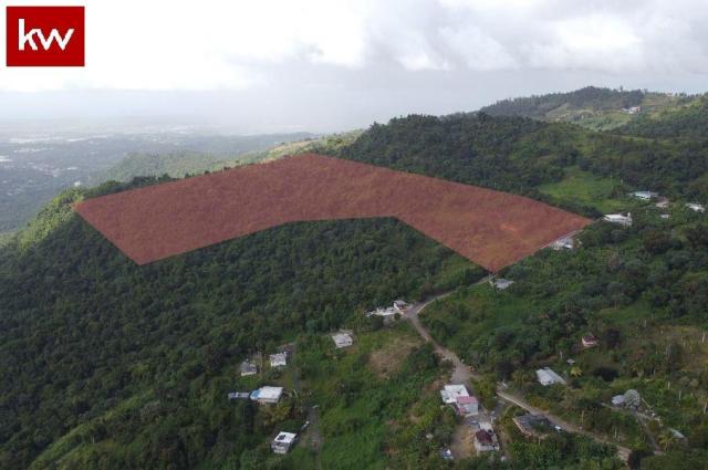 Bo. Brisas De Hato Puerco, Finca en Canovanas
