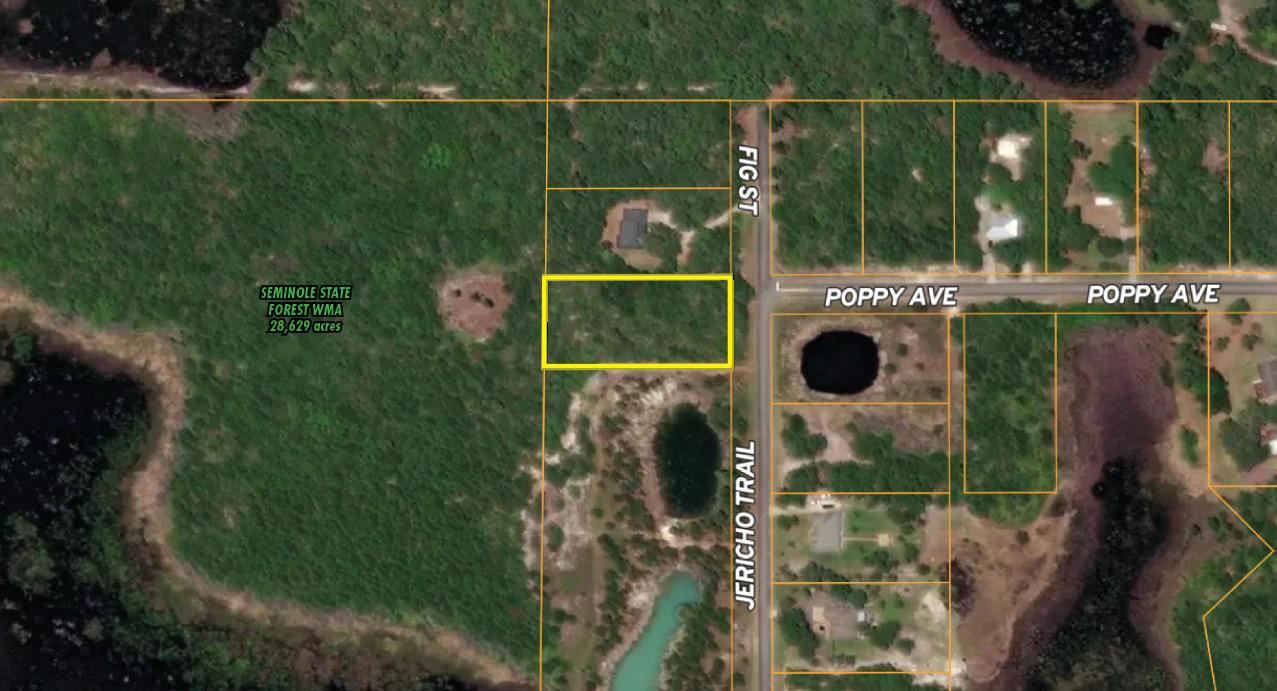 Eustis Residential Lot for Development