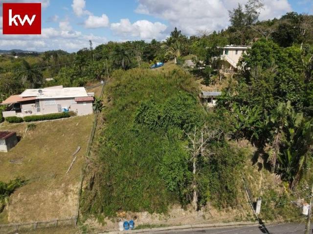 Bo. Arenas, Terreno en Cidra