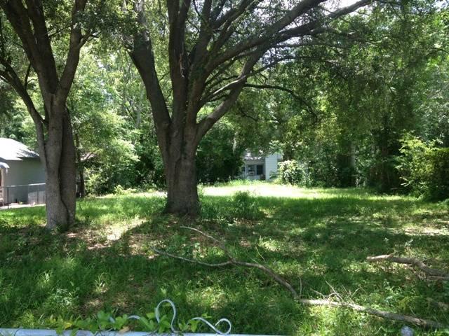 Winter Garden Vacant Land