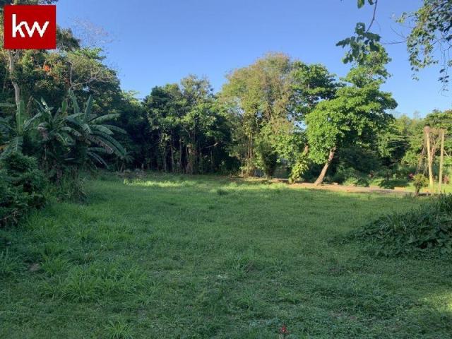 Bo. Mata De Platano, Terreno en Luquillo