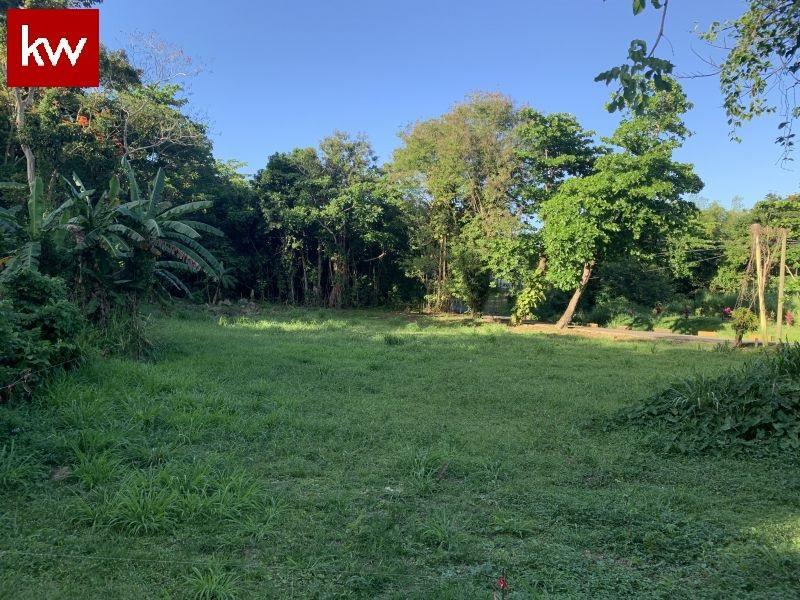 Bo. Mata De Platano, Terreno en Luquillo