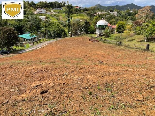 Bo. Sierra, Terreno en Aibonito