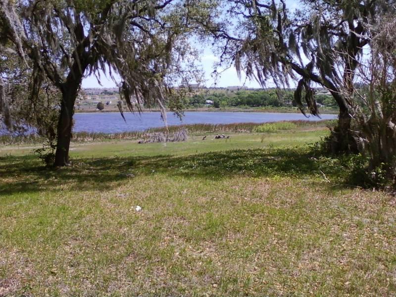 7.95 ACRES JACKS LAKE CLERMONT