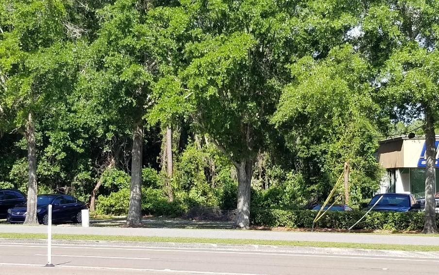 Industrial Land Use Parcel fronting SR 426