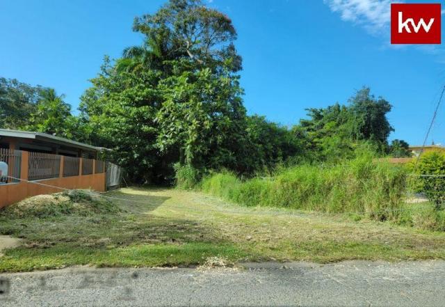 Bo. Sabana Hoyos, Finca en Arecibo