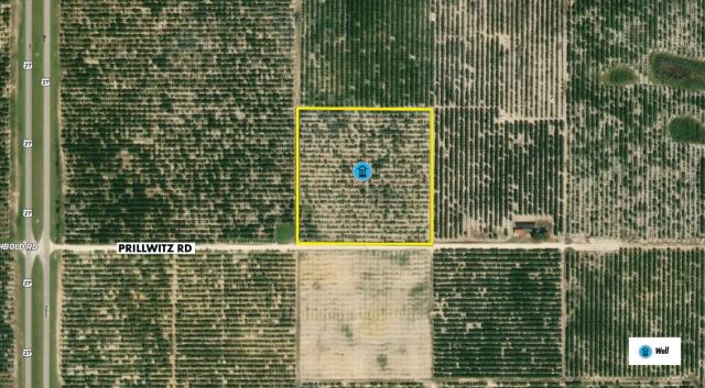 Bairs Den Producing Citrus Grove