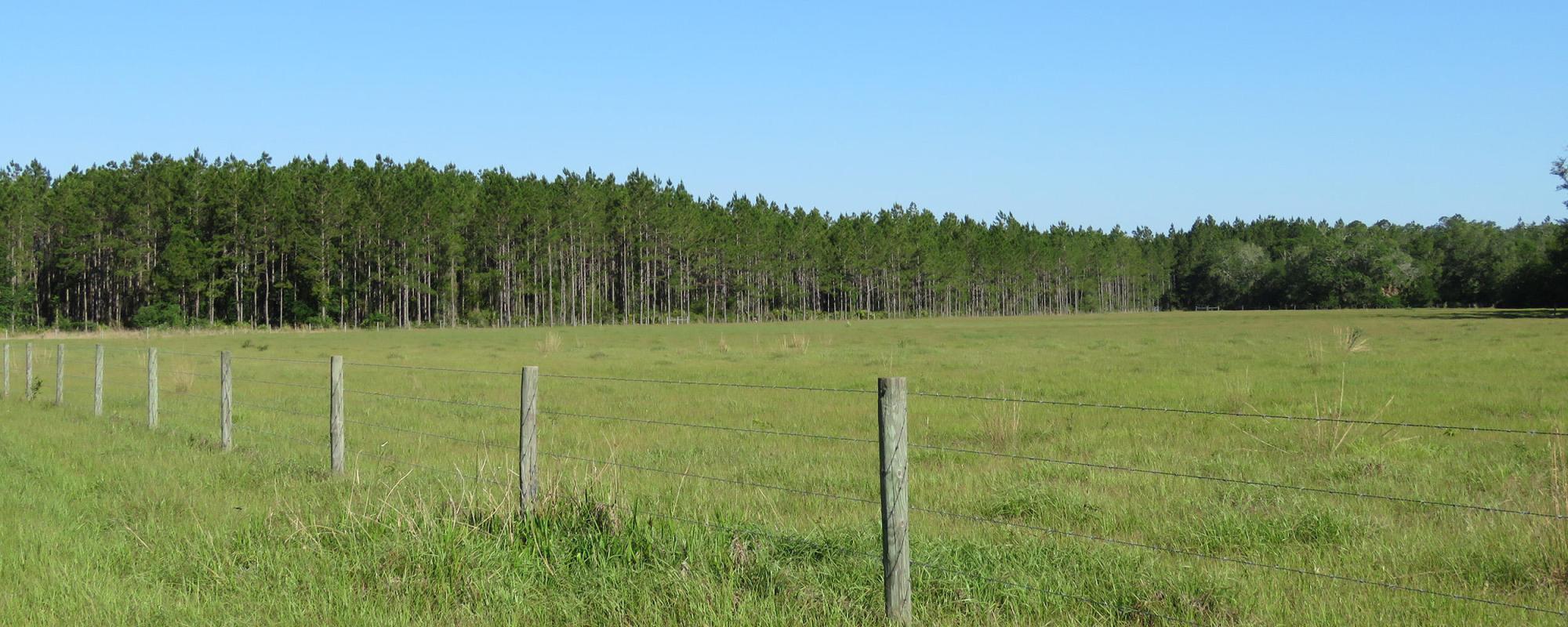 Knight Taylor Ranch – South Tract