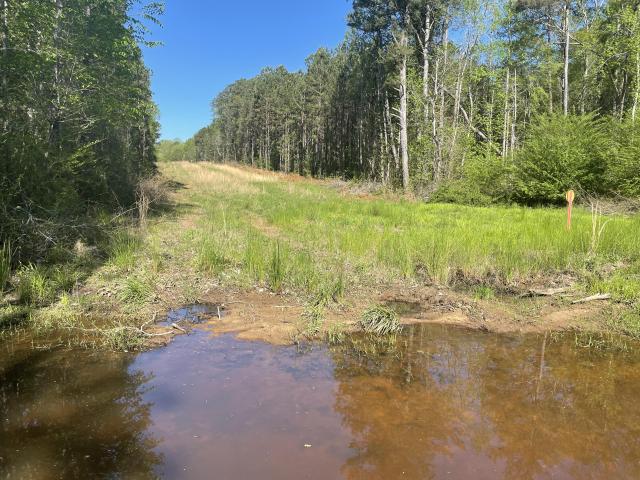 24.07+- Ac.  Wooded, Creek Close to Cobb Co.