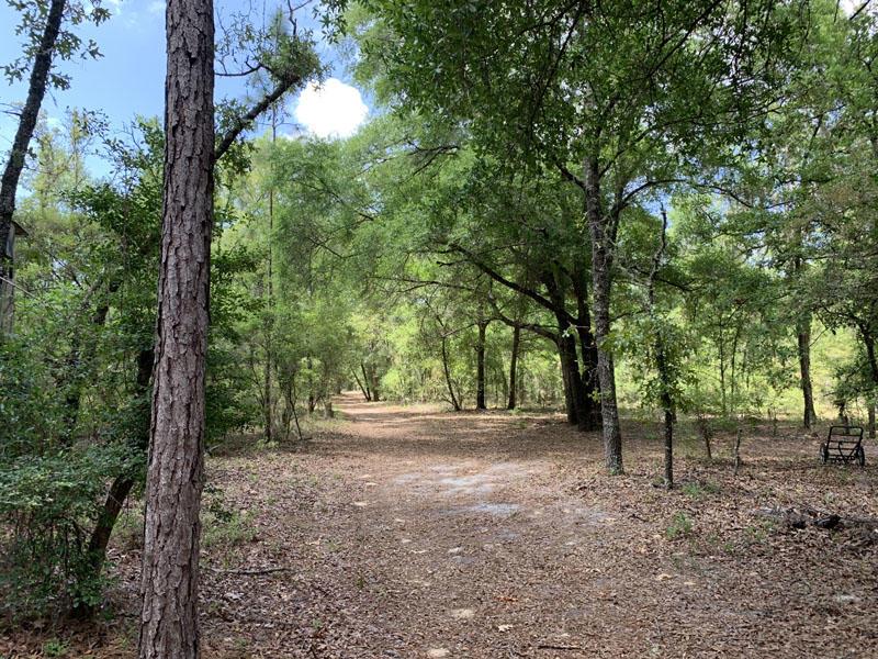 80 Acres Gilchrist County