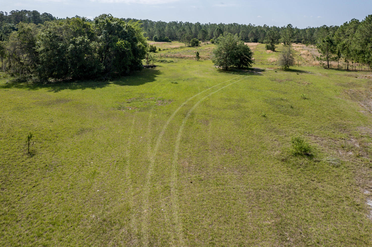 33 Acres Land for Sale Polk City, FL 33868