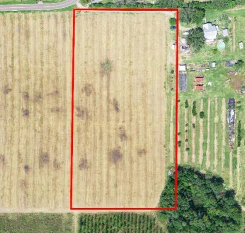 5-Acre Homesite on Golden Bough Road | Privacy & Convenience Lot 1