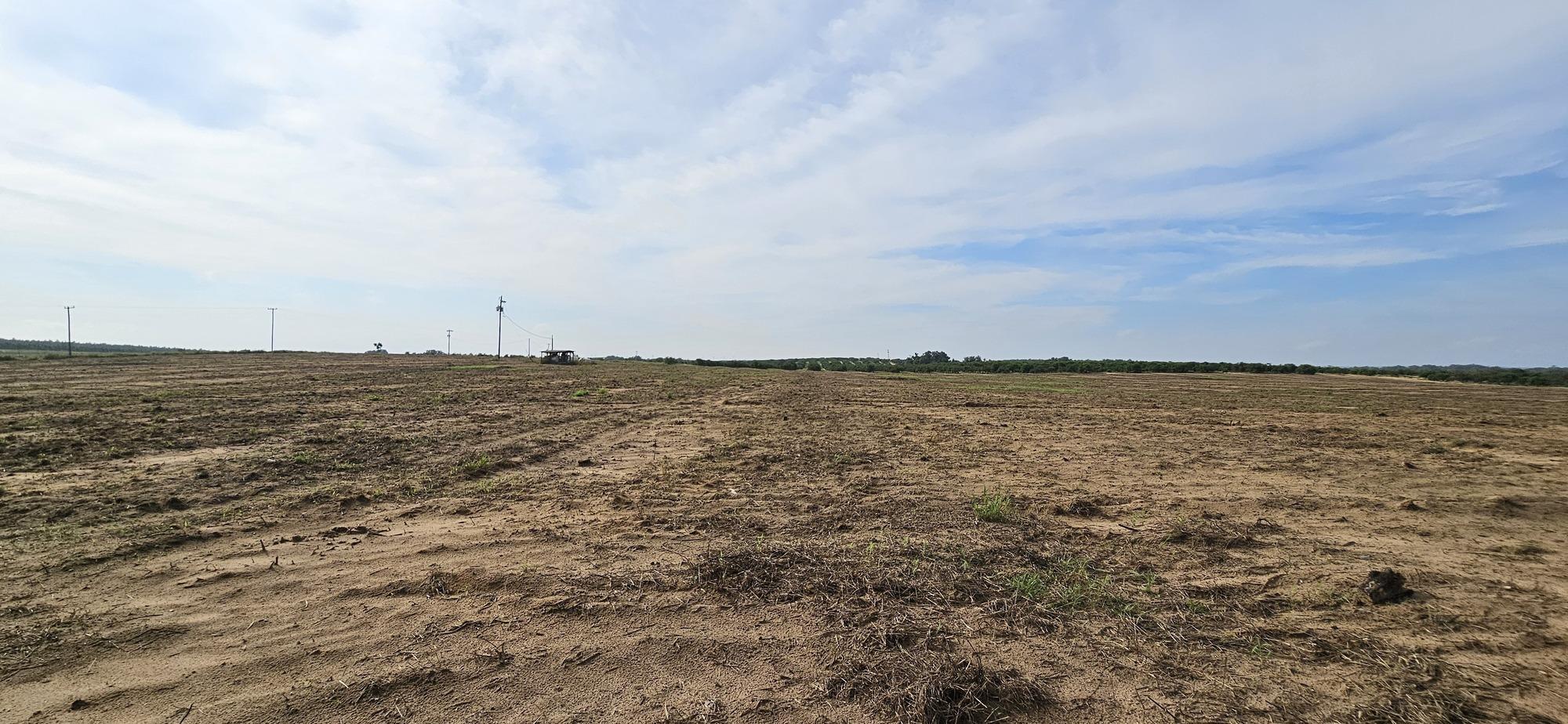 5-Acre Homesite on Golden Bough Road | Privacy & Convenience Lot 3