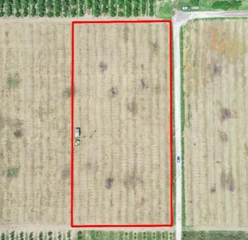 5-Acre Homesite on Golden Bough Road | Privacy & Convenience Lot 4