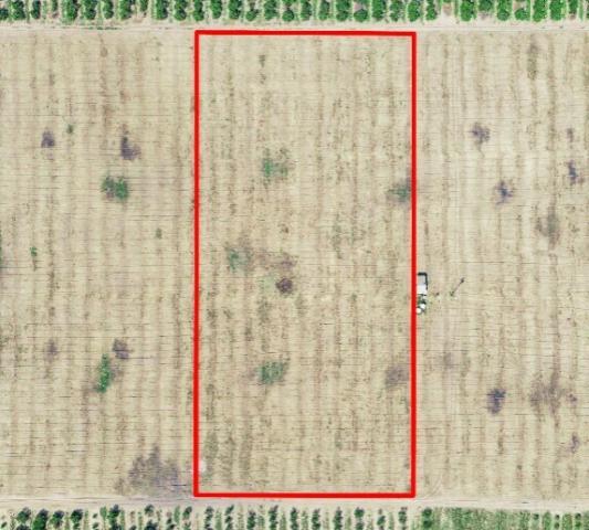 5-Acre Homesite on Golden Bough Road | Privacy & Convenience Lot 5