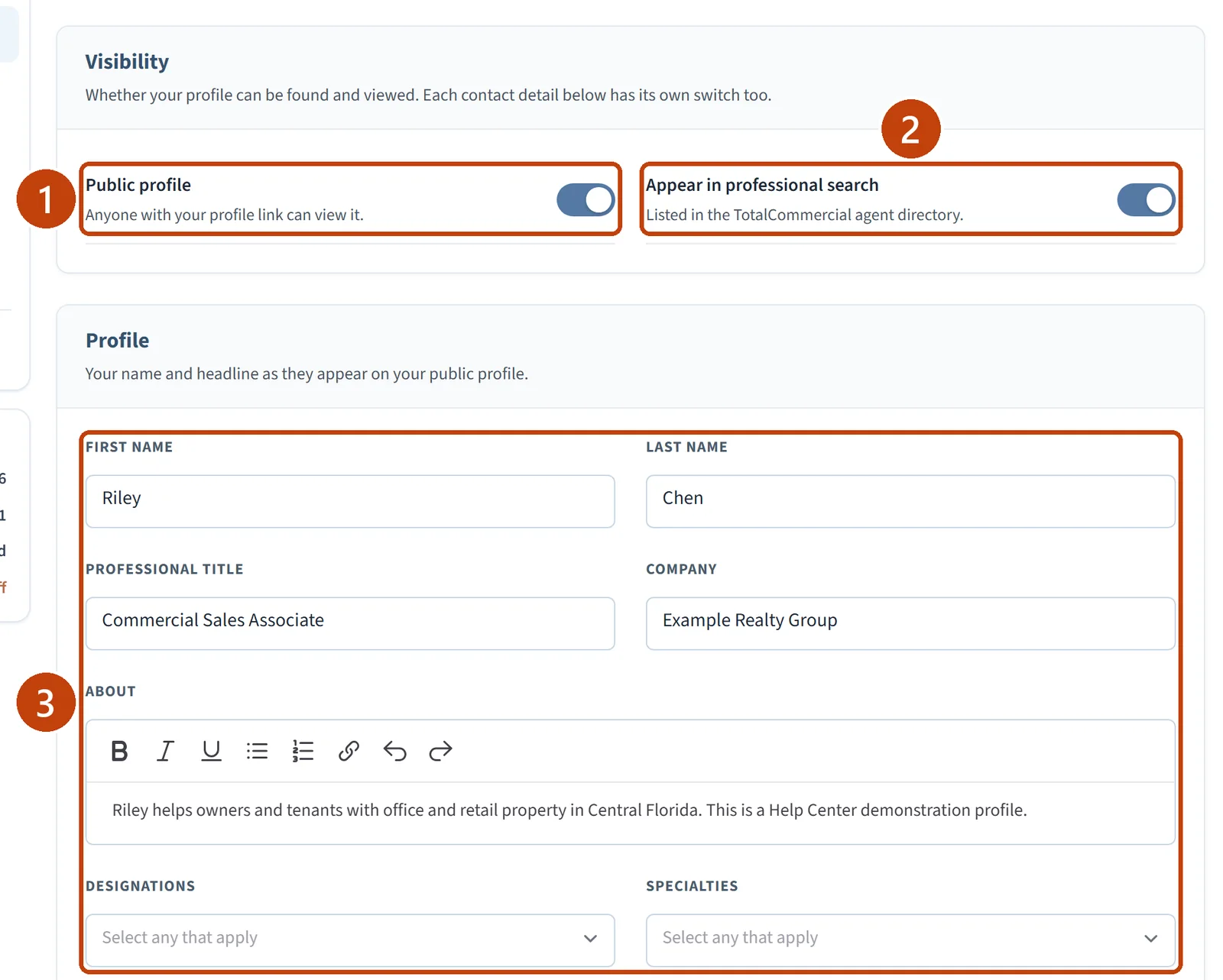 The Visibility switches and the Profile fields filled in with a name, title, company, and About text.